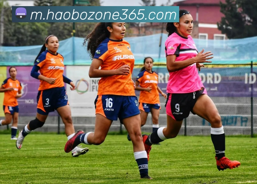 好博体育APP 封面图